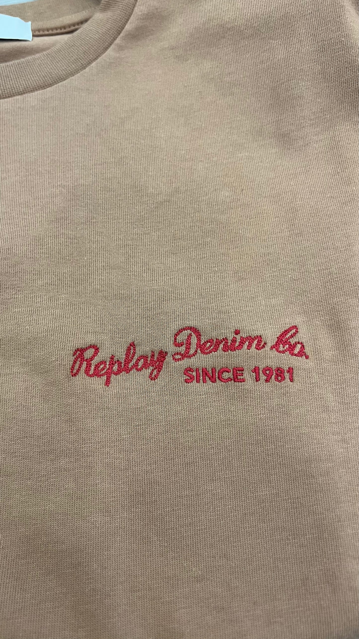 T-shirt Replay terra